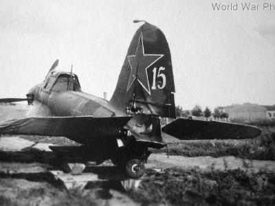 IL-2 white 15