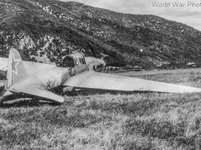 IL-2 38 after a belly landing