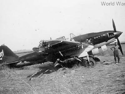 IL-2 „white 2” of the 4 ShAP (4th Assault Aviation Regiment), July 1941