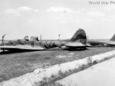 IL-2 single seaterin Shatalovo air base in Smolensk Oblast, August 1941