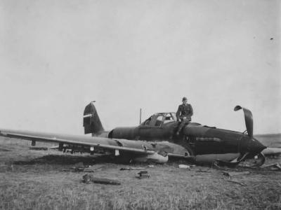 IL 2 Sturmovik 5