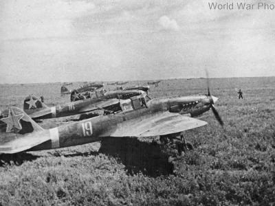 Ilyushin Il-2M code 19 and 16
