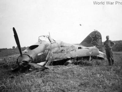Ilyushin Il-2 AM-38 code 6