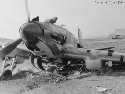 Il-2 front view
