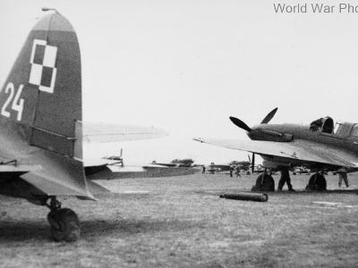 Polish Il-2M white 24