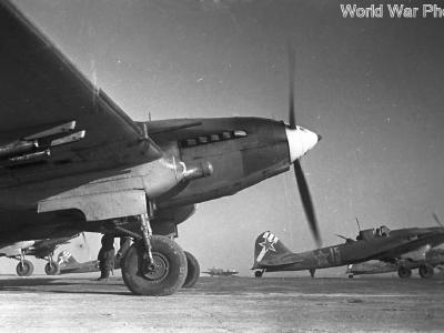 Il-2s 1943