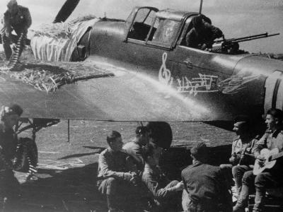 Ilyushin IL-2 „100” of the 7th GShAP August 1943
