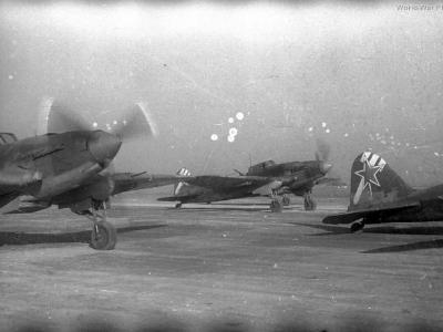 IL-2s of the 989 ShAP