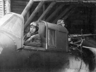 Il-2 of the 174 ShAP 1942