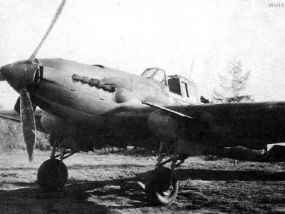 Il-2 of 566 ShAP