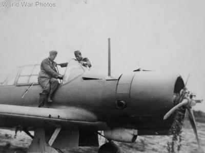 Su-2 10