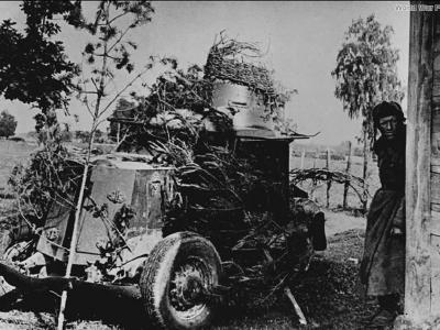 Camouflaged BA-20