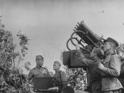 Quadruple Maxim AA MG